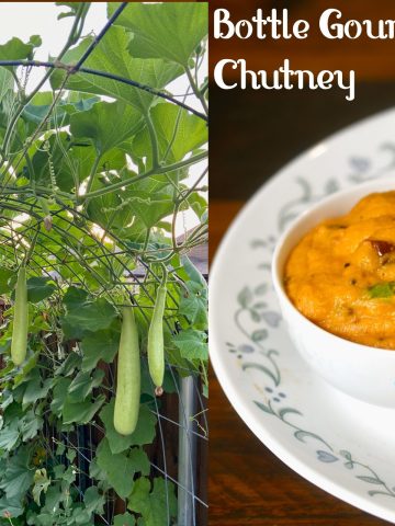 Sorakkai Chutney