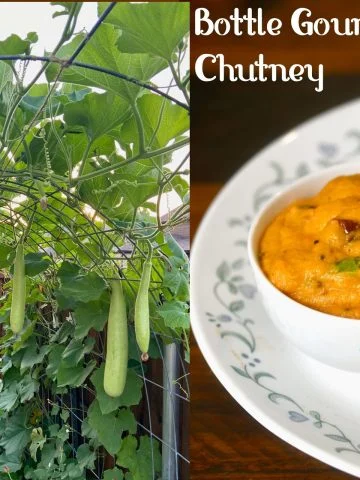 Sorakkai Chutney